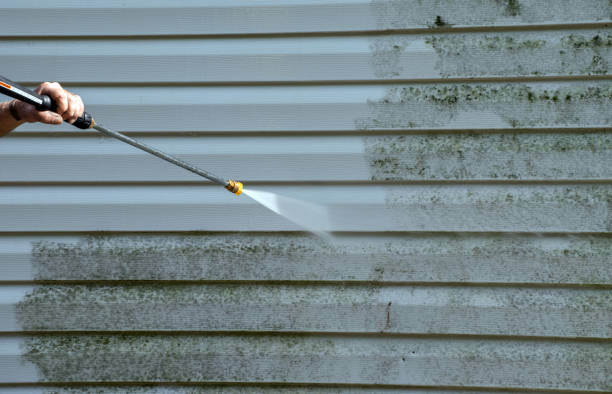 Best Residential Mold Removal  in Crest, CA