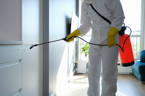 Water Damage Restoration in Crest, CA