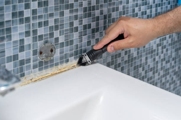 Office Mold Removal Services in Crest, CA