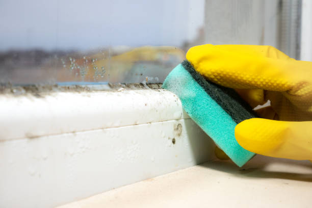 Best Mold Testing  in Crest, CA