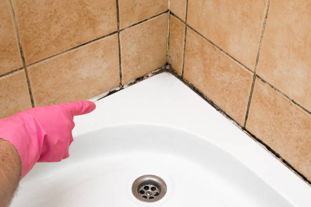 Best Office Mold Removal Services  in Crest, CA